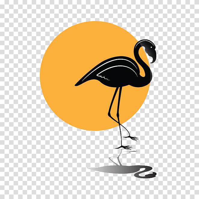 Flamingo Bird Beak, crane transparent background PNG clipart