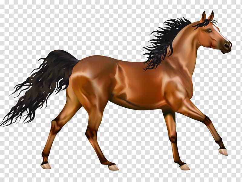 Arabian horse American Paint Horse American Quarter Horse Desktop , Bugs Bunny transparent background PNG clipart
