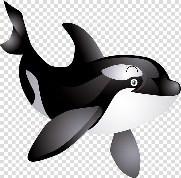 Dolphin , Whale transparent background PNG clipart