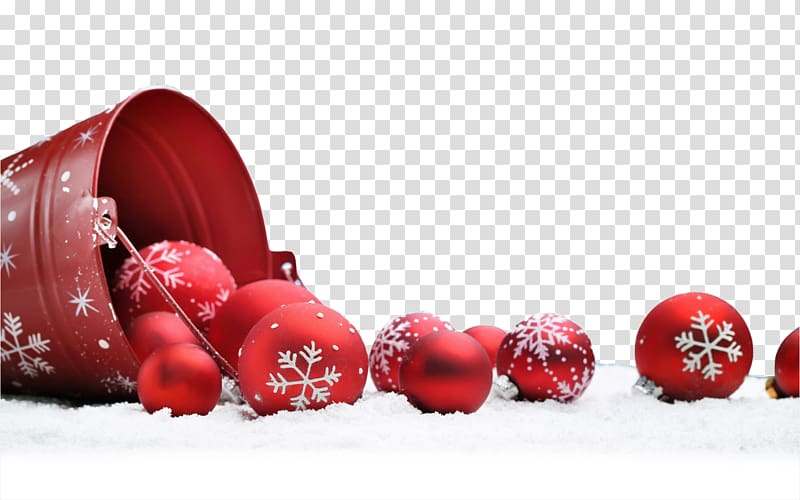 Christmas Eve Party New Years Eve, Snow red berries transparent background PNG clipart