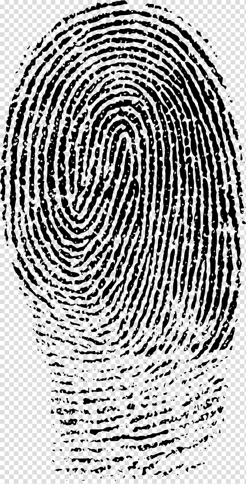 Fingerprint Evidence Forensic science Crime scene, finger print transparent background PNG clipart