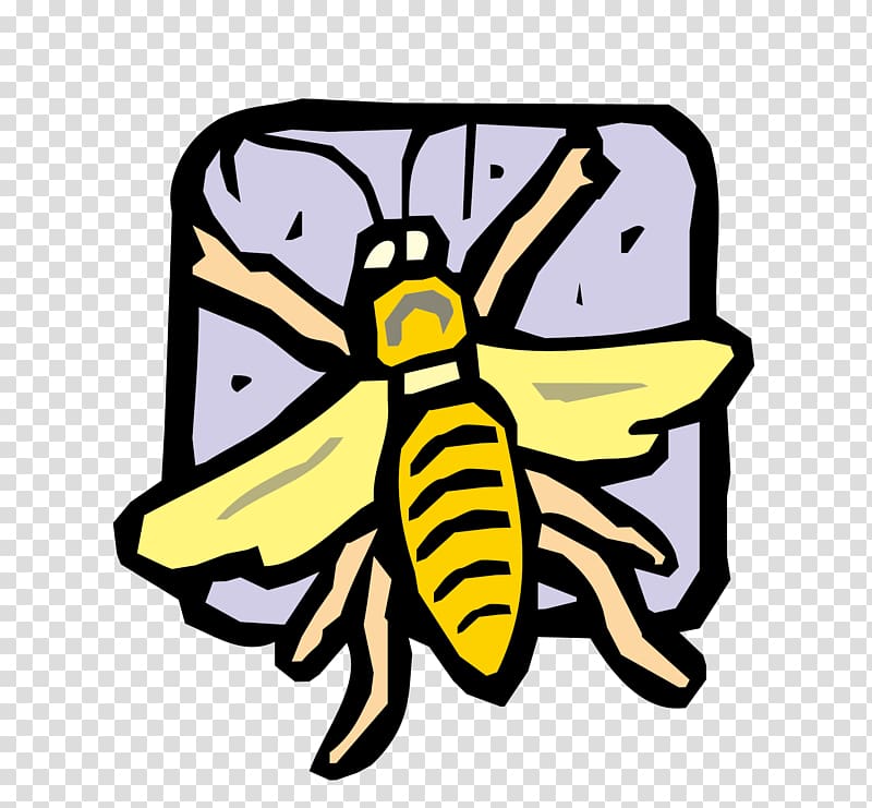 Bee Insect Butterfly , bee nest material transparent background PNG clipart