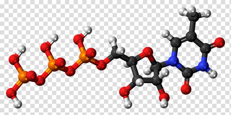 Adenosine triphosphate Adenosine diphosphate Pyrophosphate Uridine triphosphate, others transparent background PNG clipart