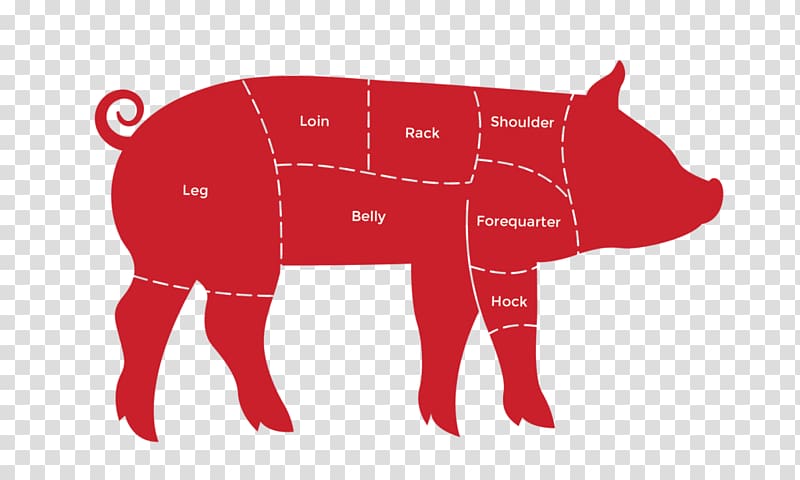 Domestic pig Cattle An Average Vegans Guide to Being an Average Vegan Live Rubber stamping, transparent background PNG clipart