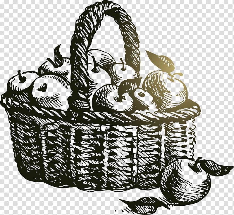 Basketball Adobe Illustrator Rubber stamp, A basket of apple transparent background PNG clipart