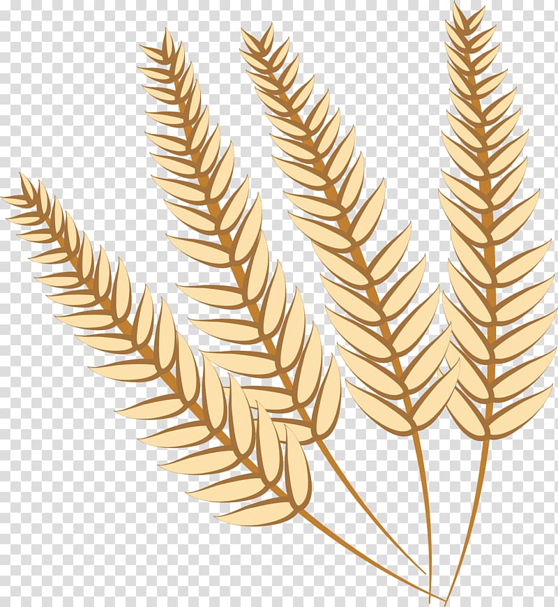 Food grain Wheat, wheat wheat transparent background PNG clipart