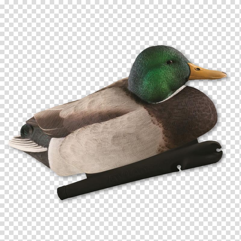 Mallard Goose Duck Hunting Decoy, goose transparent background PNG clipart