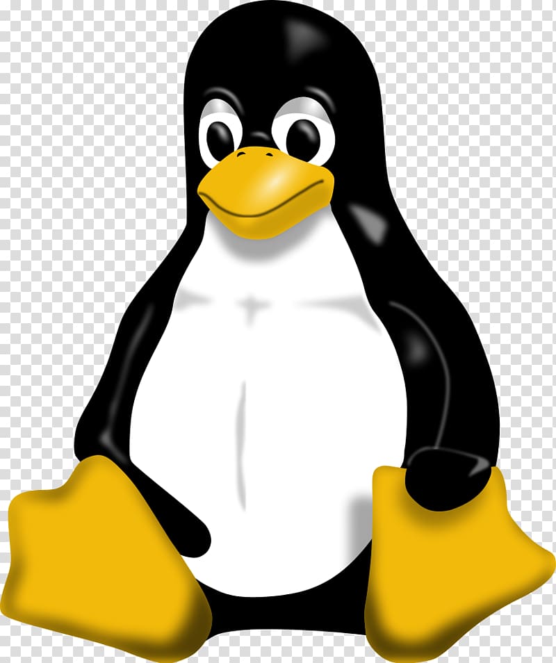 Tux Racer Penguin Linux, tuxedo transparent background PNG clipart