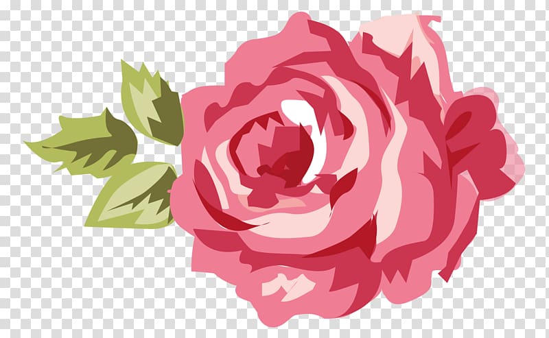 Shabby chic Garden roses , pink watercolor flower transparent background PNG clipart