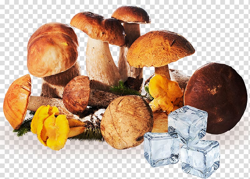 Edible mushroom Fungus Brown cap boletus Aspen mushroom, mushroom transparent background PNG clipart