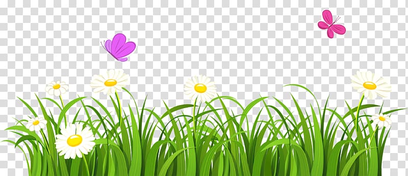 white flowers and pink butterflies illustration, Grasses Flower , Grass Border transparent background PNG clipart