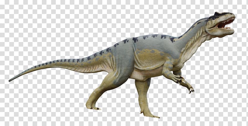 gray T-rex , Tyrannosaurus Dinosaur Triceratops Cryolophosaurus, Dinosaur transparent background PNG clipart