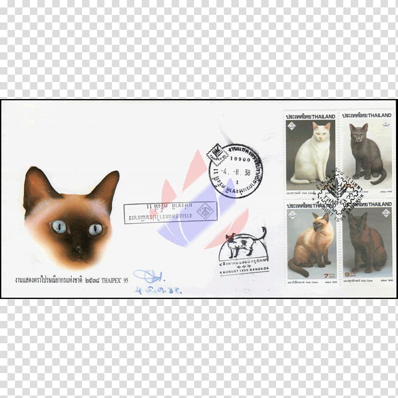 Dog breed Puppy Khao Manee Leash, puppy transparent background PNG clipart