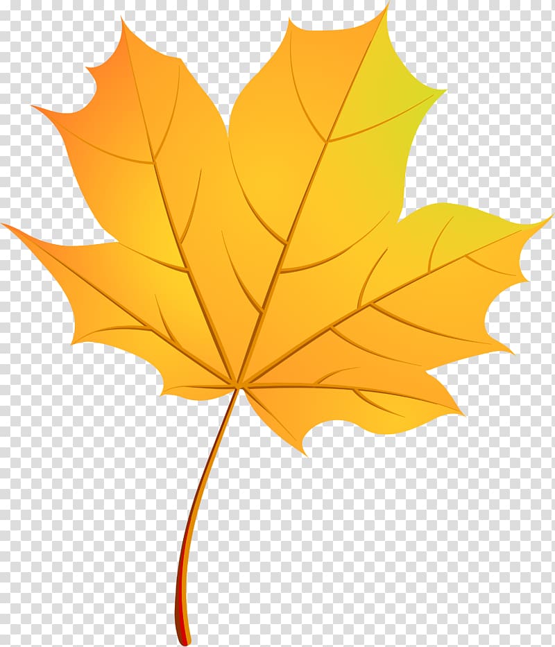 maple leaf graphic, Autumn Leaves Maple leaf, gold autumn leaf pattern transparent background PNG clipart