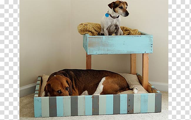 Dog Table Bunk bed Pallet, Dog begging transparent background PNG clipart