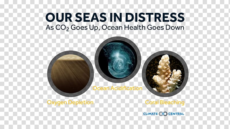 World Oceans Day Brand 8 June, design transparent background PNG clipart
