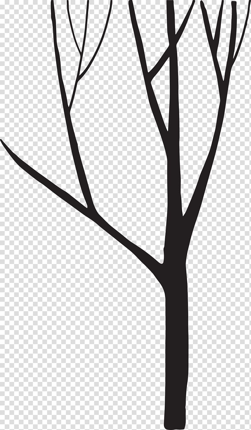 Black and white Silhouette Tree, Tree Silhouette transparent background PNG clipart