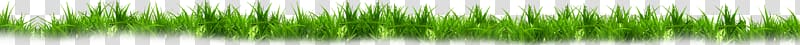grass , Green, Grass transparent background PNG clipart