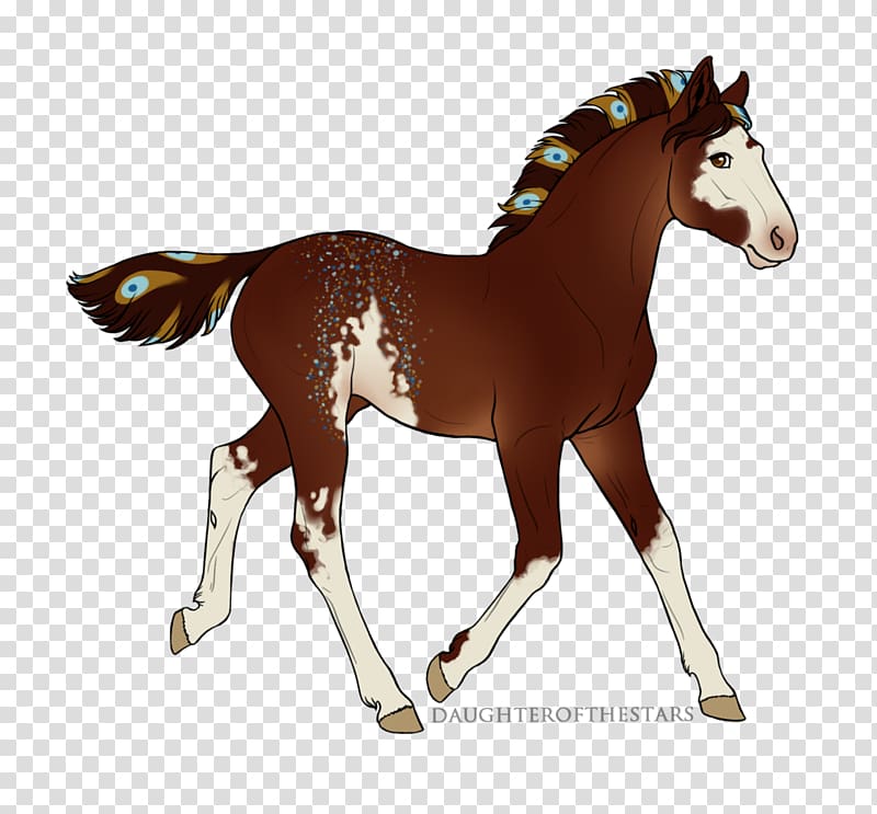 Mustang Foal Stallion Pony Mare, ibn al-qayyim calligraphy transparent background PNG clipart