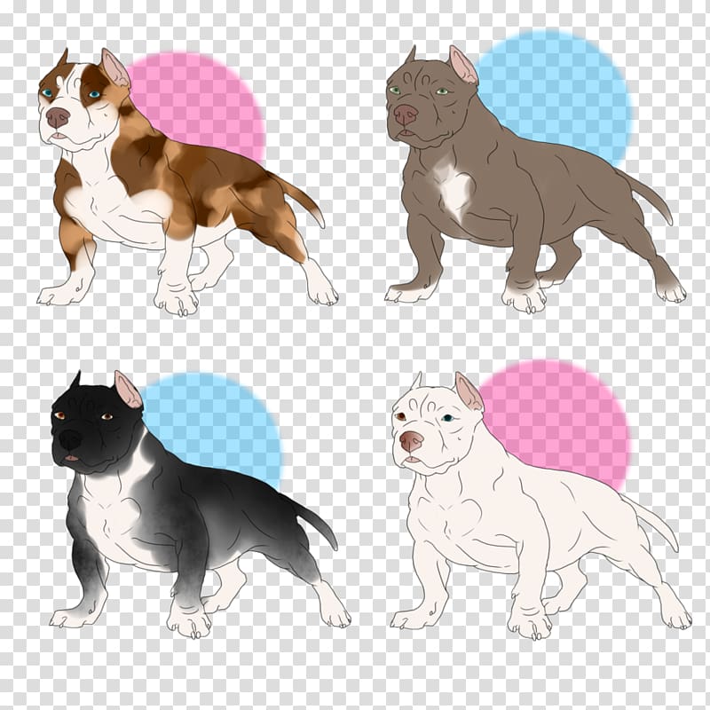 Boston Terrier Dog breed Cat Non-sporting group Breed group (dog), Cat transparent background PNG clipart