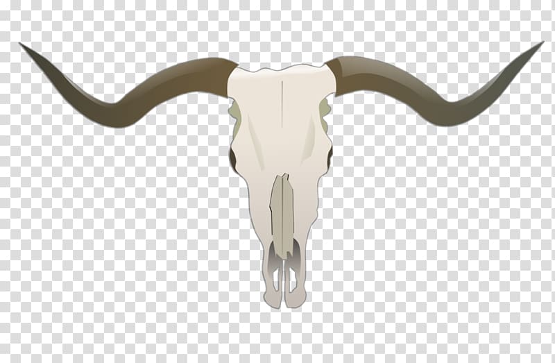Texas Longhorn Skull , Gnokii transparent background PNG clipart