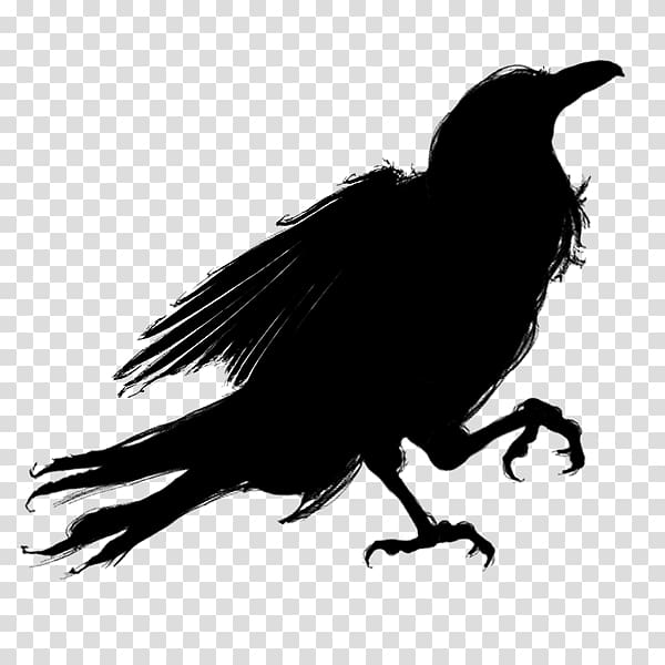 Premium Vector | Cute little cartoon kawaii anime magical halloween witch  black raven bird animal