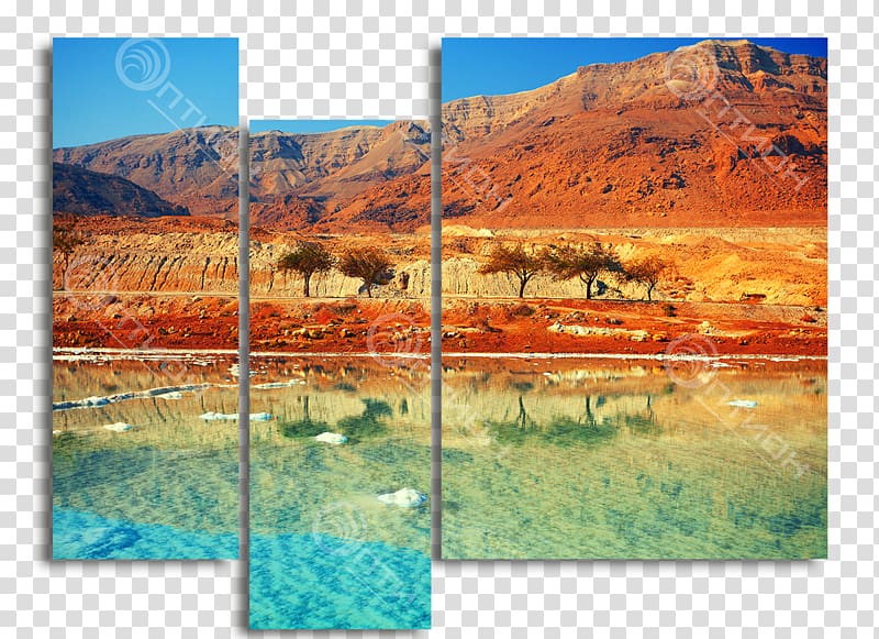 Dead Sea Ein Bokek Masada Eilat Tour guide, kartini transparent background PNG clipart