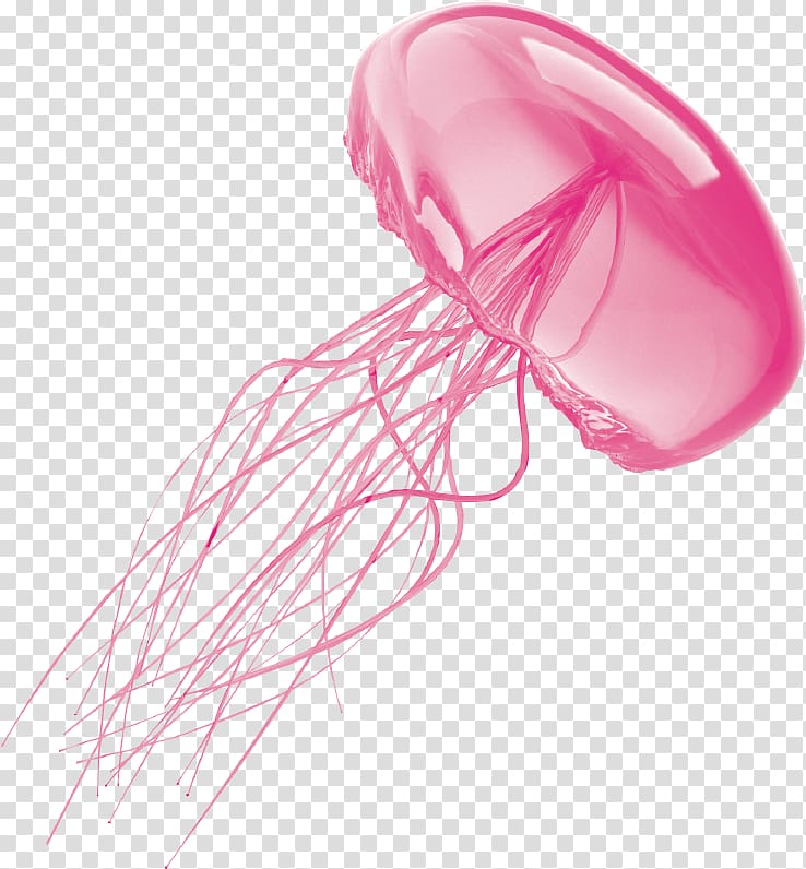 pink jelly fish, Jellyfish , jellyfish transparent background PNG clipart
