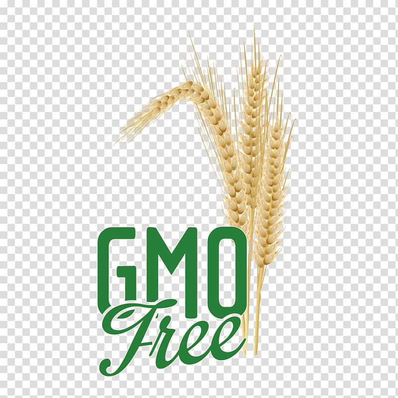 Emmer Logo , Wheat transparent background PNG clipart