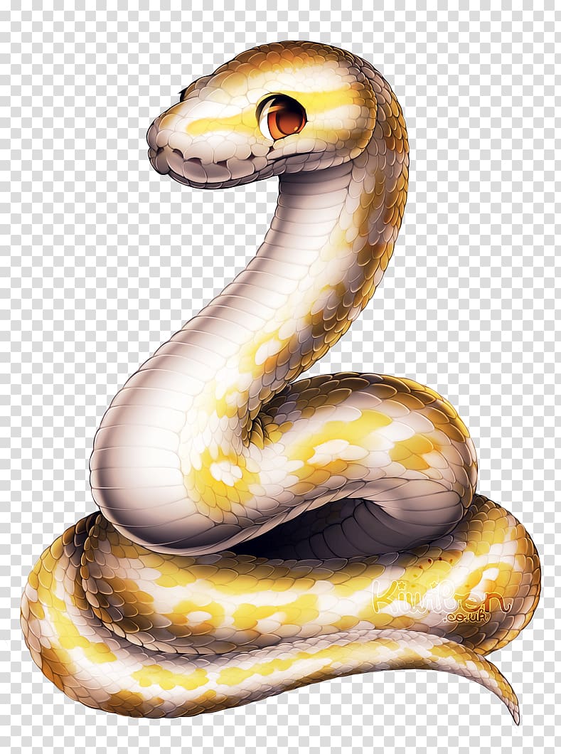 Corn snake Ball python Reptile Piebald, snake transparent background PNG clipart