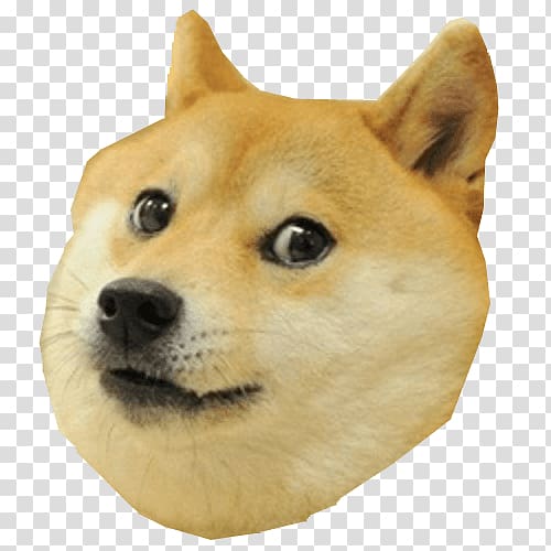 Shiba Inu Dogecoin Internet meme, others transparent background PNG clipart