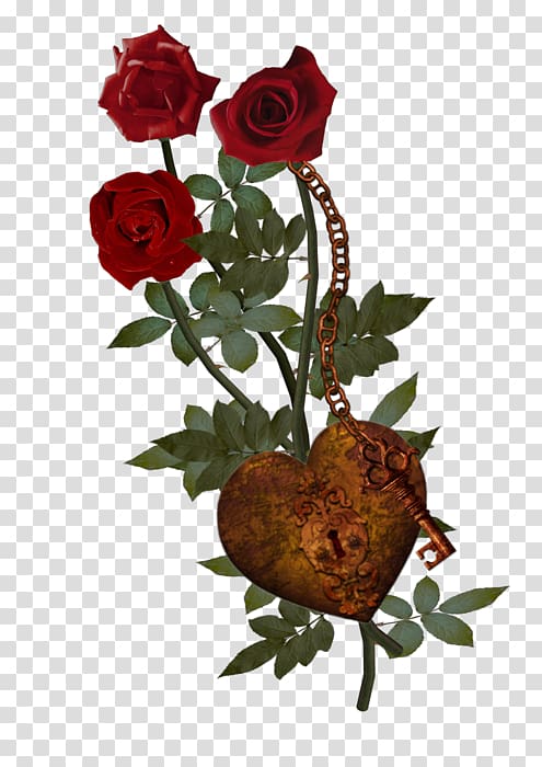 Garden roses Beach rose Flower, Rose Love Lock transparent background PNG clipart