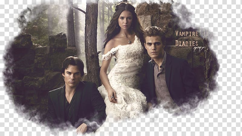 Damon Salvatore Elena Gilbert Stefan Salvatore T-shirt The Vampire Diaries,  Season 1, T-shirt transparent background PNG clipart