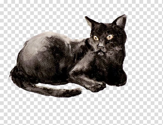 Korat Bombay cat European shorthair Havana Brown Burmese cat, Black cat transparent background PNG clipart