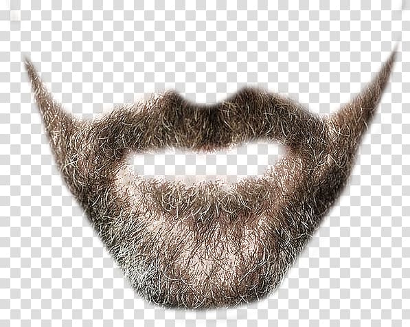 Beard transparent background PNG clipart