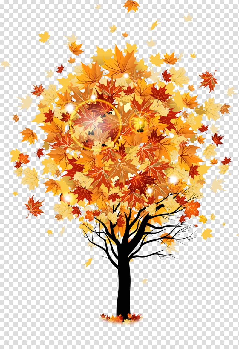 Tree Autumn Maple , autumn transparent background PNG clipart