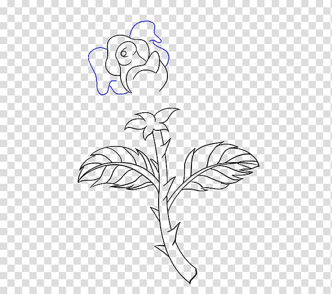 Drawing Plant stem Rose Flower Sketch, rose transparent background PNG clipart