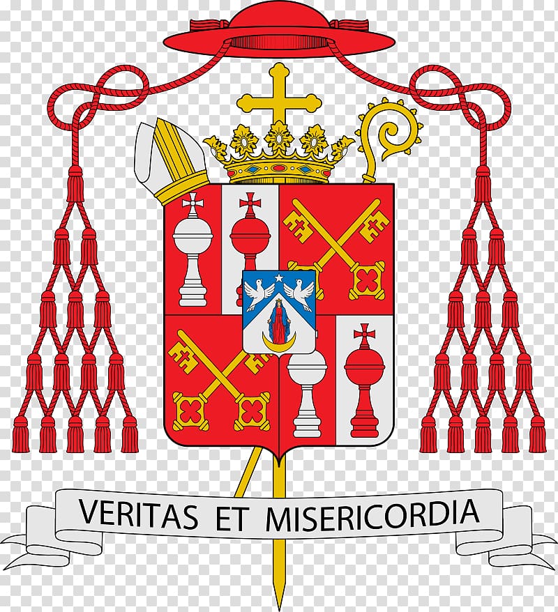 Roman Catholic Archdiocese of Utrecht Cardinal Catholicism Bishop, mahatma gandhi death transparent background PNG clipart