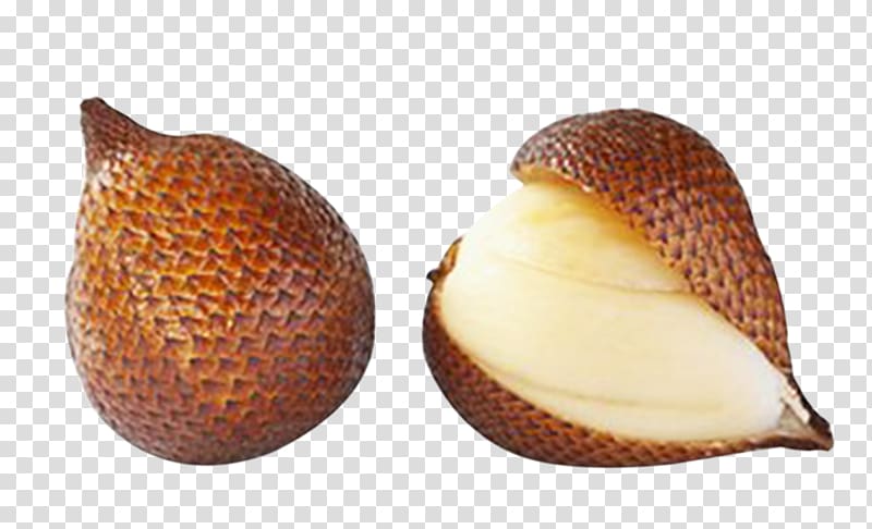 two brown snake fruits, Indonesia Asinan Salak pondoh Fruit Food, Now pick snake fruit transparent background PNG clipart