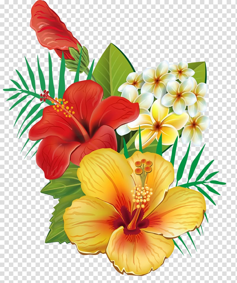red and yellow hibiscus flowers , Flower , flower transparent background PNG clipart