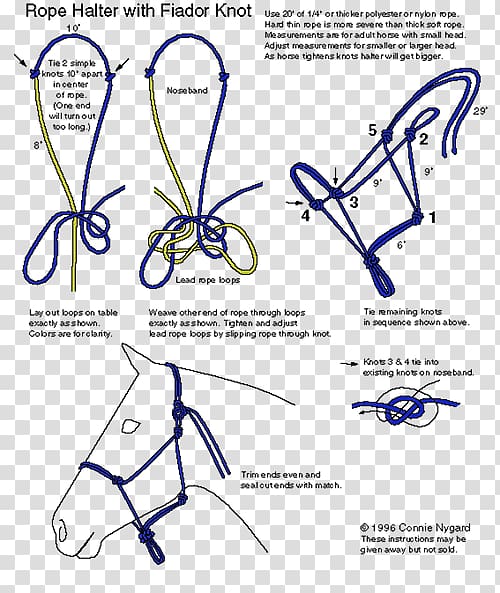 Horse Halter Fiador knot Rope, horse transparent background PNG clipart