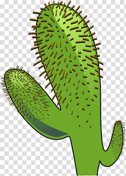 Cactaceae Saguaro Cactus wren , cactus plant transparent background PNG clipart