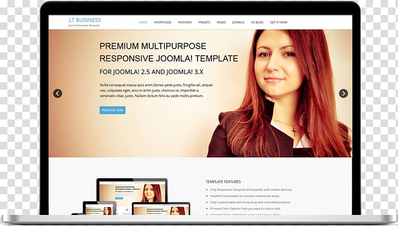Responsive web design Professional Joomla! Web page Template, business theme transparent background PNG clipart