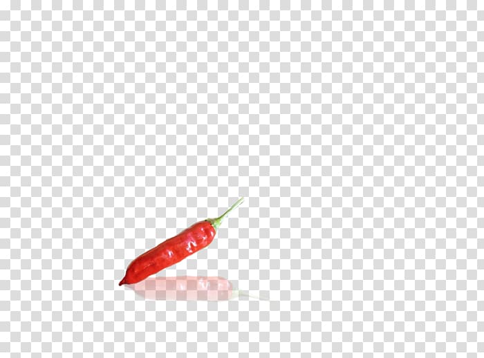 Bird\'s eye chili Serrano pepper Tabasco pepper Cayenne pepper Chili pepper, Capsicum Annuum transparent background PNG clipart