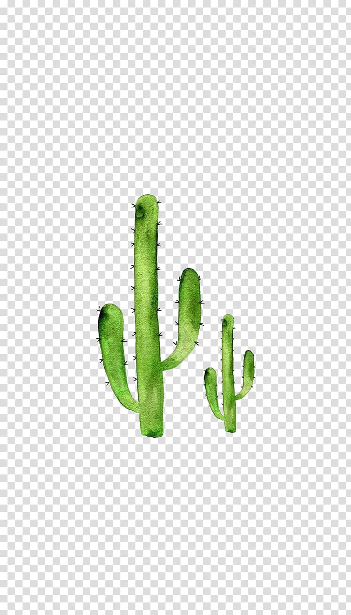 two cactus plants , Cactaceae Watercolor painting, Watercolor cactus transparent background PNG clipart