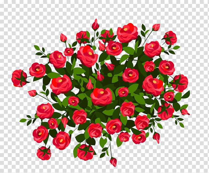 bouquet of red roses illustration, Rose Shrub Pink , Red Rose Bush transparent background PNG clipart