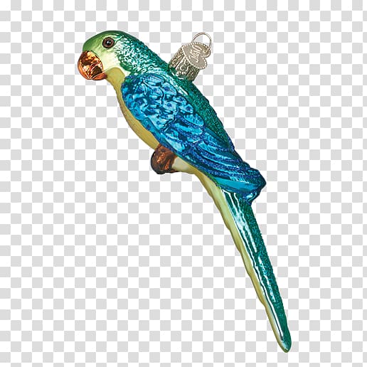 Budgerigar Parakeet Lovebird Macaw, uncivilized behavior in the dormitory building transparent background PNG clipart