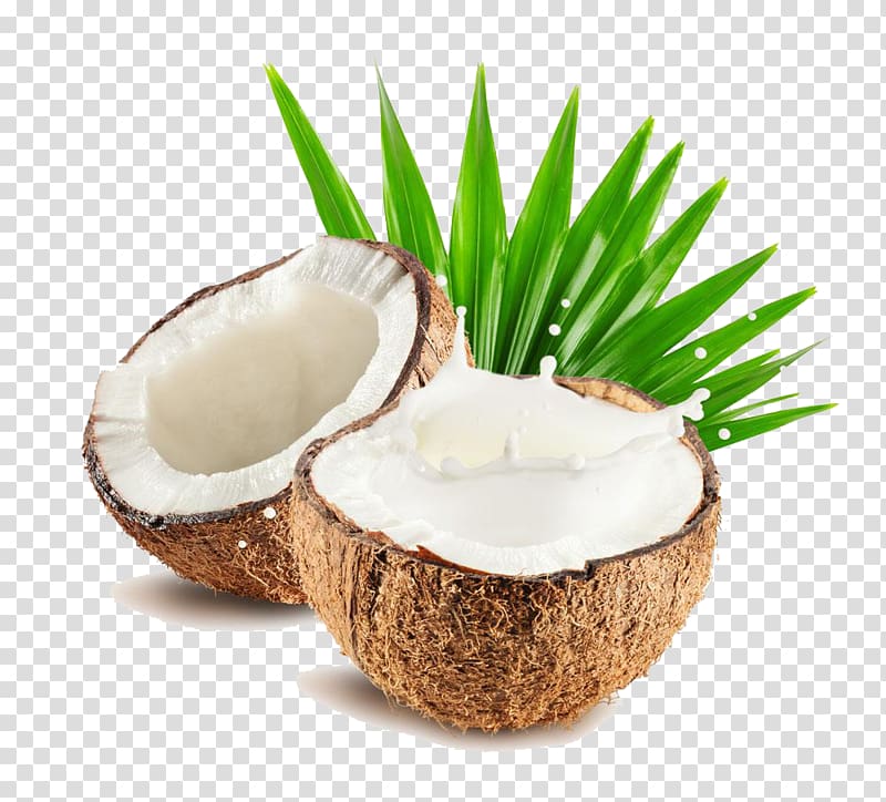 fresh coconut water in kind transparent background PNG clipart
