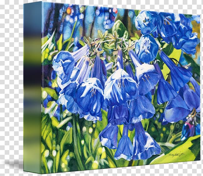 Bluebonnet Bellflower Gallery wrap Scilla Hyacinth, others transparent background PNG clipart