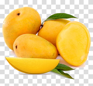 Rotten Mango Fruit Isolated, Background, Bad, Black PNG Transparent Image  and Clipart for Free Download